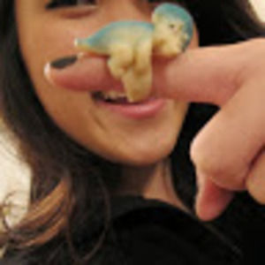 Meet your Posher, Rebecca